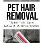 How-to-Remove-Dog-Hair-from-Couch_Pinterest2