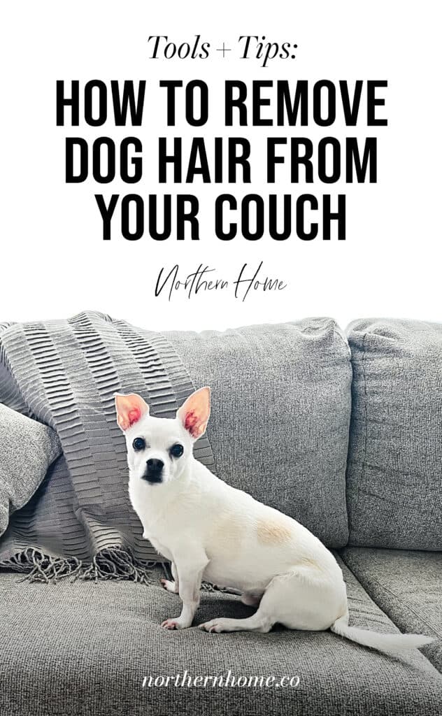 How-to-Remove-Dog-Hair-from-Couch_Pin