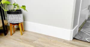 Grey Wall with White Baseboards and Trim with Plant and Rug